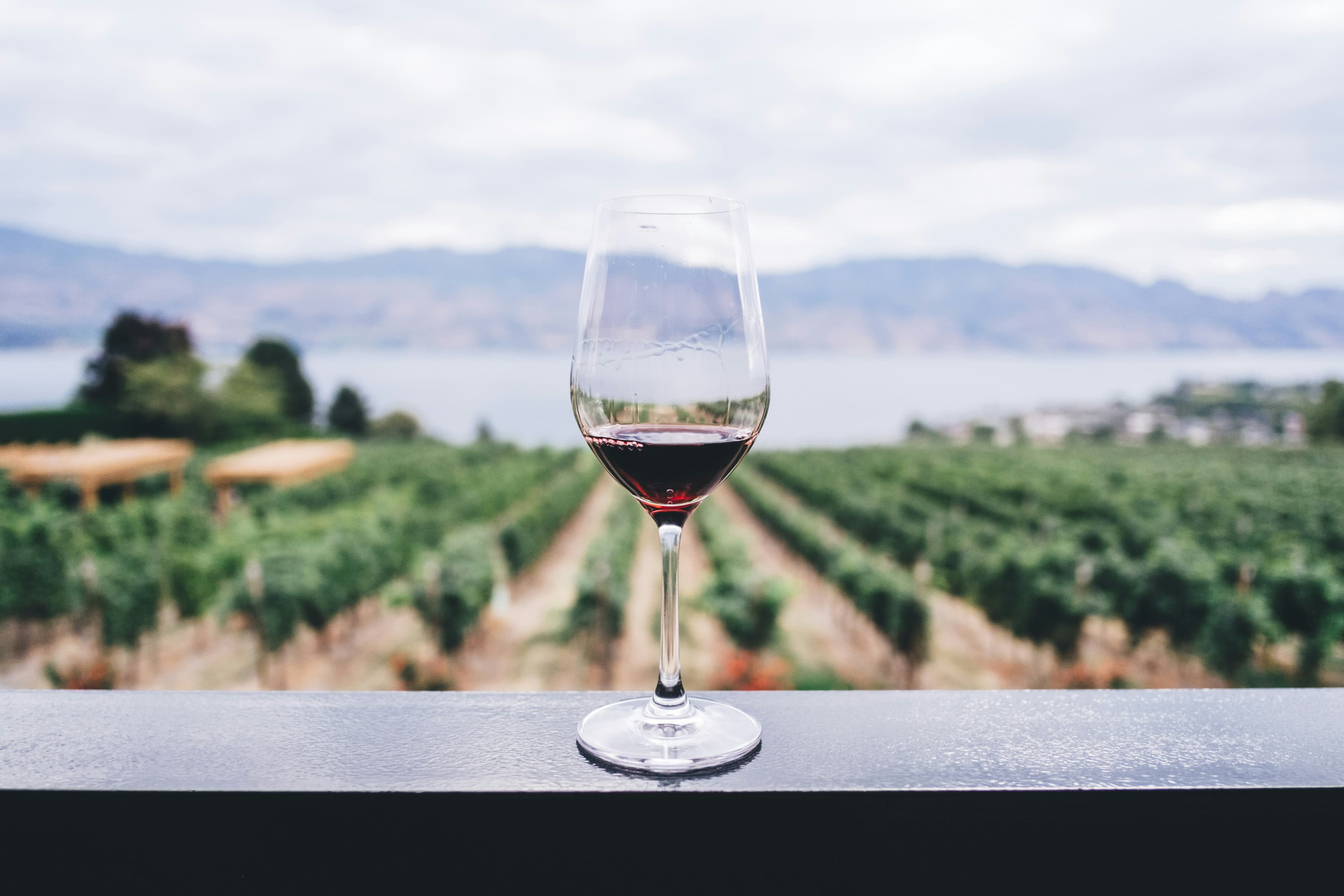 Degustazioni di vini